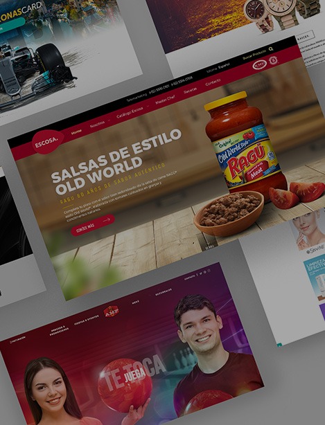 Paginas web